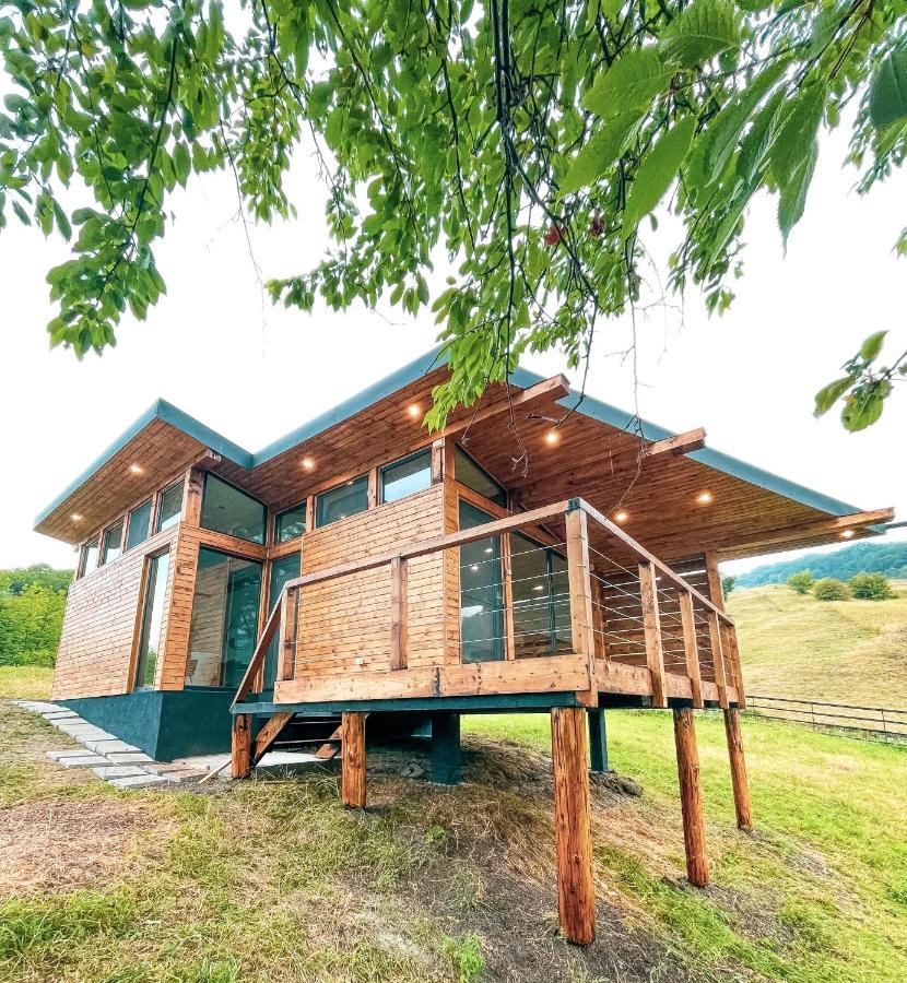 Utopia By Noratlas Heritage - Adults Only Buzău Eksteriør billede
